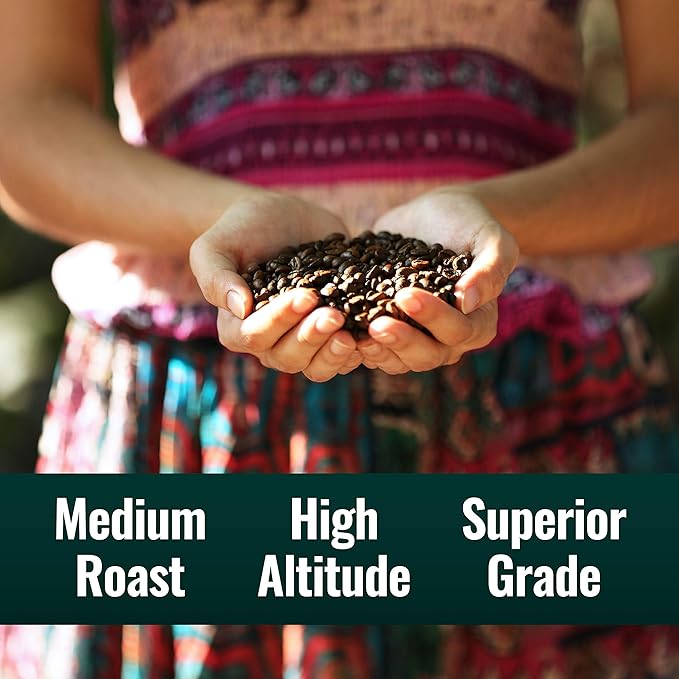Natural Force - Organic Clean Decaf Coffee Mold &amp Mycotoxin Free Lab Tested for Toxins &amp Purity Low Acidity Whole Bean Swiss Water Decaf Medium Roast 12 oz