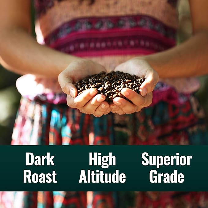 Natural Force - Organic Clean Coffee Dark Mold &amp Mycotoxin Free Lab Tested for Toxins &amp Purity Low Acidity Incredible Taste &amp Aroma Founder's Select Whole Bean Dark Roast 12 oz