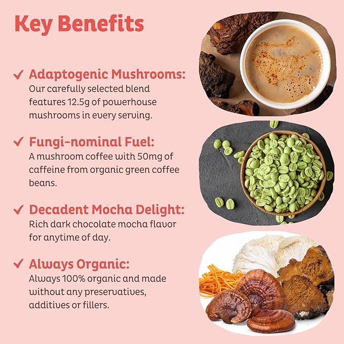 KOS Mushroom Coffee - USDA Certified Organic - Dark Chocolate Mocha Flavor - Mushroom Coffee Latte Powder with Reishi Cordyceps Lion's Mane Chaga &amp Turkey Tail Mushrooms
