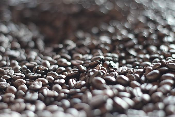 Lee's Coffee Exclusive Whole Bean Coffee Double French Roast 12 Ounce