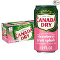 Canada Dry Fruit Splash Strawberry Ginger Ale Soda 12 fl oz cans 12 pack