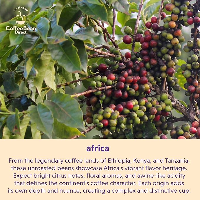 Coffee Bean Direct Unroasted Kenya AA 5 Pound (Pack of 1)
