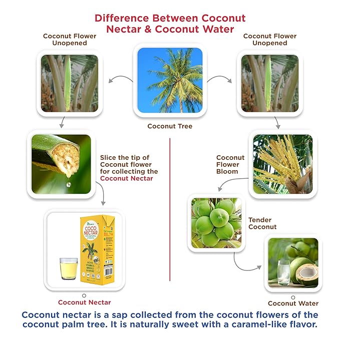 COCO (Coconut) NECTAR - 100% Natural &amp Pure | By Nature Gluten-Free Non-GMO and Vegan | Feel Energized | Kosher| Halal | Natural Wellness Beverage (24 Pack)