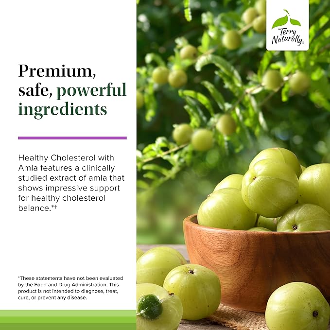 Terry Naturally Healthy Cholesterol with Amla - Antioxidant Supplement for Immune &amp Heart Support - Supplement to Aid Healthy Cholesterol &amp Triglyceride - 60 Capsules