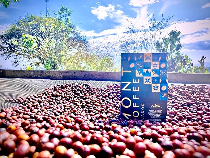 Mont Coffee - Pichincha Region | Latitude 0.0'00 | Specialty Single Origin Ecuadorian Arabica Coffee | Deluxe | Fresh Roast | Sourced Directly from Our Farms