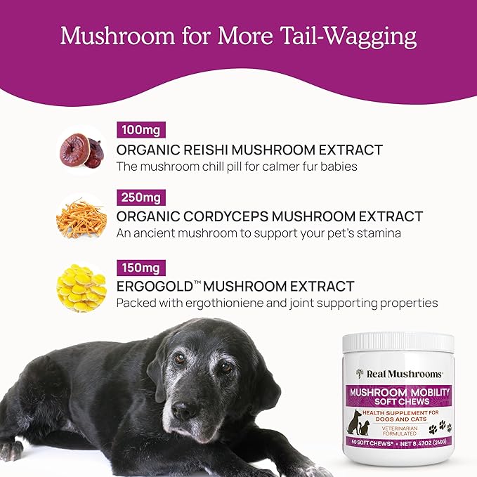 Real Mushrooms Mobility Chews for Dogs &amp Cats – Green Lipped Mussel &amp ErgoGold Mushroom Blend – Dogs &amp Cat Vitamins Treats for Active Routines – Joint Hip &amp Flexibility Support – 240