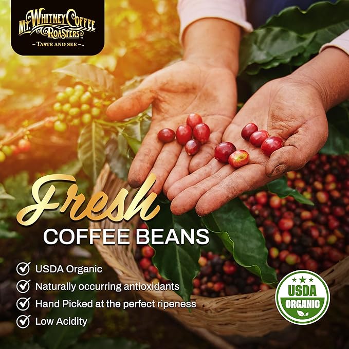 Mt. Whitney Base Camp Blend Whole Bean Medium Dark Roast Low Acid Coffee - 12 oz (Pack of 1)