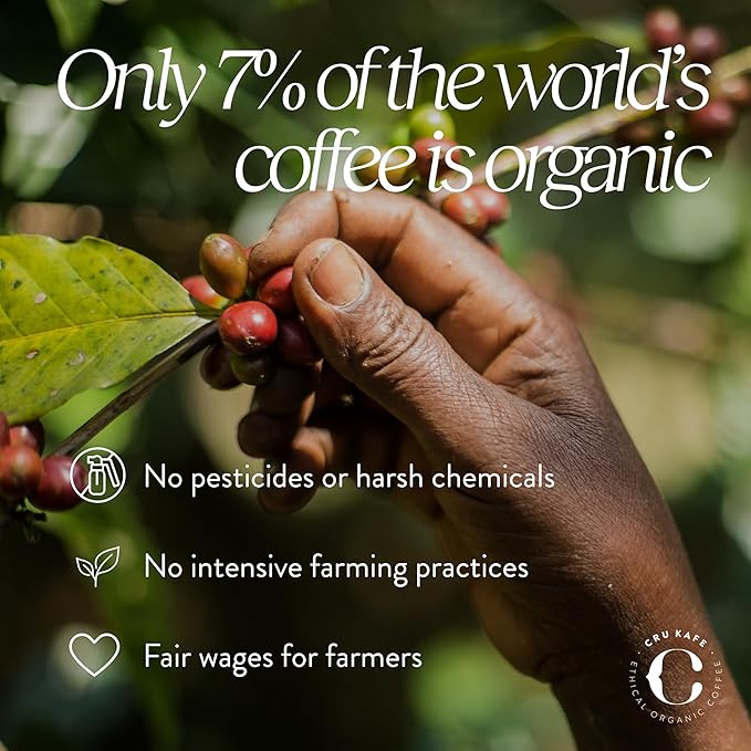 CRU Kafe Discovery Set Organic Coffee Pod 50 Pods (5 Packs of 10 Coffee Capsules) Compatible with Nespresso OriginalLine