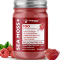 WELLNESS LABSRX Irish Sea Moss Gel Raw - Wildcrafted Superfood Seamoss Gel - Raspberry Flavor Vitamin and Mineral-Rich from Pristine Caribbean Waters Immune and Digestive Health Support - 10 oz.