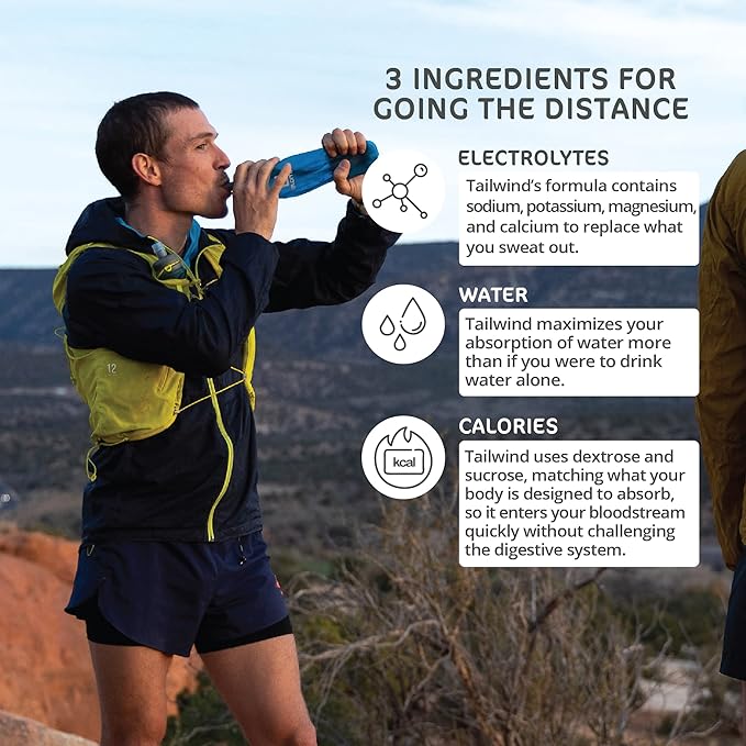 Tailwind Nutrition Endurance Fuel Sports Drink Powder Single Serving with Electrolytes Non-GMO Free of Soy Dairy and Gluten Vegan-Friendly Naked Unflavored Pack of 12