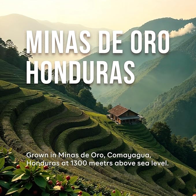 Don Memo Premium Ground Coffee – Single Pack – 2 lb Bag – Medium Roast – 100% Arabica from Honduras – Single Origin – Fresh Roasted &amp Ready to Brew – Family-Owned &amp Ethical