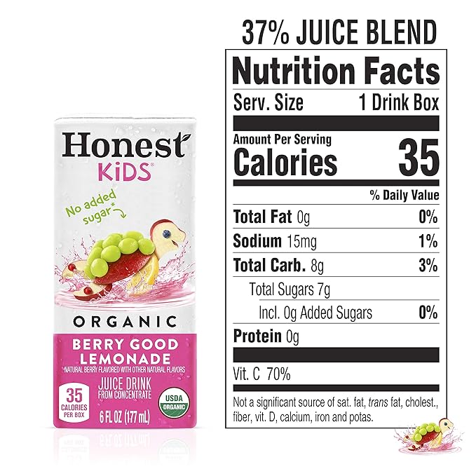 Honest Kids Berry Good Lemonade Organic Juice Drink Berry Lemonade 6 Fl Oz (Pack of 40)