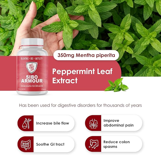 SIBO | IBS Relief (Clinical Grade Treatment) Bloating Diarrhea Leaky Gut Gas | Delayed Release Peppermint | Supplement Effective On Irritable Bowel Syndrome &amp Small Intestine Bacteria Overgrowt