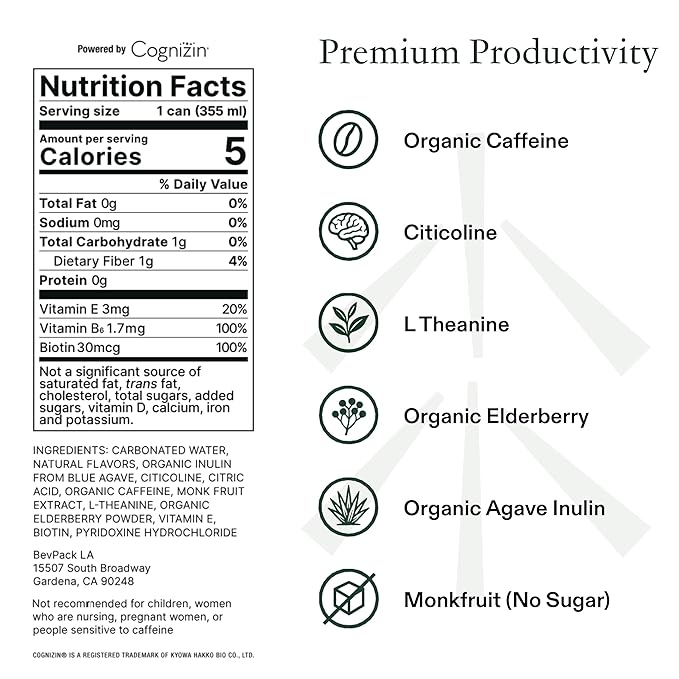 Drink Staed Lemon Lime Ginger Productivity Drink Sparkling Functional Beverage 12-Pack – With Cognizin® Citicoline &amp L-Theanine Organic Clean Caffeine Healthy Energy Drink