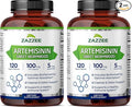 Zazzee High Absorption Artemisinin 100 mg per Capsule 120 Vegan Capsules with 5 mg BioPerine for Maximum Absorption Sweet Wormwood Extract 4 Month Supply All-Natural and Non-GMO (Pack of 2)