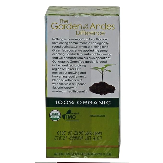 Organic Green Tea 20 Bags 3 Per Case