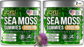 JOYLI Nutrition 2 Pack - Sea Moss Gummies for Adults &amp Kids – Vegan Irish Sea Moss Supplement with Bladderwrack &amp Burdock Root – Sugar-Free Immune Support Supplements - 60 Gummy Bears per Pack