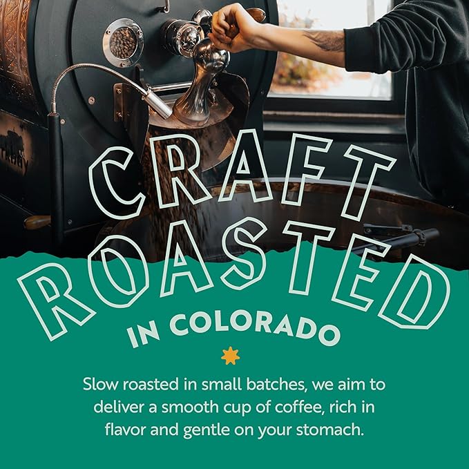 Clean Coffee Co. - Low Acid Dark Roast Tested for Molds and Toxins Honduras Blend Notes of Caramel Dark Chocolate and Toasted Malts (Whole Bean 12 oz Bag)