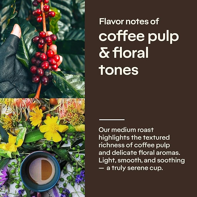4-Pack Specialty Coffee Peacefully – Arabica Roasted Ground on the Farm – Freshness and Authentic Flavor Notes of Chocolate Vanilla Nuts – Carefully Harvested Medium Roast – Brazilian Coffee King