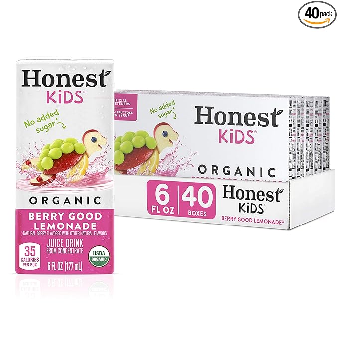 Honest Kids Berry Good Lemonade Organic Juice Drink Berry Lemonade 6 Fl Oz (Pack of 40)