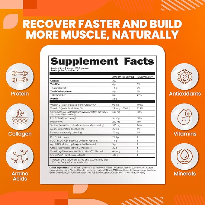 SaltWrap Protein Clinic – Total Body Recovery Shake with Collagen Peptides HMB Tart Cherry Extract Pea Protein Isolate and Prebiotic Fiber for Joints &amp Muscle Recovery - Creamy Chocolate Fudge