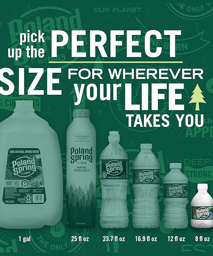 Spring Water 48 Pack - Mini Water Bottles - 8 Fl Oz.