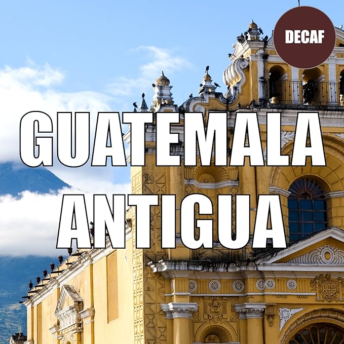 Guatemala Antigua Decaf Coffee Whole Bean Swiss Water Processed Fresh Roasted 16-ounce