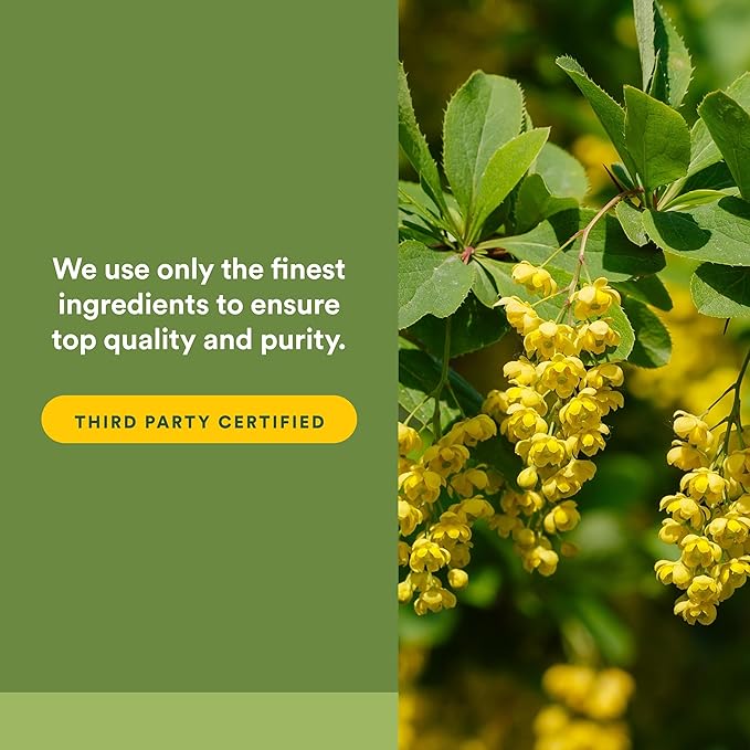 Natural Factors Berberine LipoMicel Matrix - Daily Supplement Supports Metabolic Health - Formula Supports General Health - Gluten-Free &amp Dairy-Free - 90 Liquid Softgels (90 Servings)