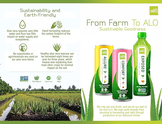 ALO Drink |ALO Exposed Aloe Vera Juice Drink | Original Flavor with Honey | 12 Pack | 10.8 FL OZ (320mL) Cans