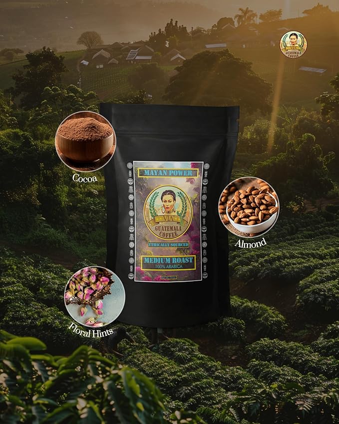 Via Guatemala Coffee – Guatemala Medium Roast Ground Coffee Single-Origin Arabica Mayan Power 16 oz