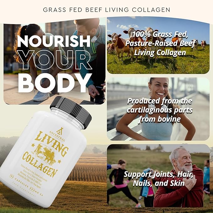 Ancestral Supplements Grass Fed Beef Living Collagen Nutritional Powder Supplement 3000mg Promotes Healthier Younger Looking Skin Hair Nails and Joints Type II 180 Capsules