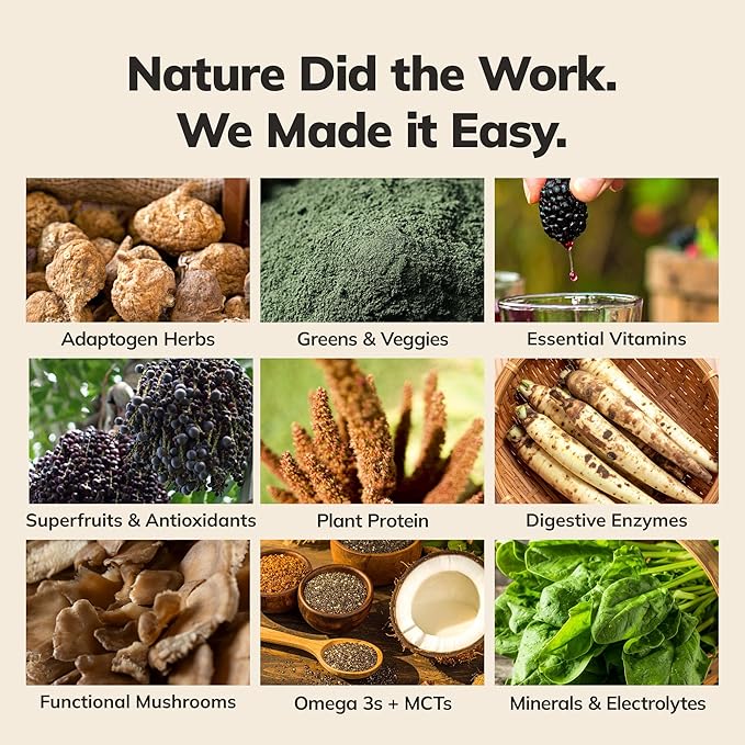 Ka’Chava Whole Body Meal Shake Chocolate 2 lb – Vegan Protein Powder with 85+ Superfoods &amp Greens – Plant-Based Meal Replacement with Probiotics &amp Digestive Enzymes – Gluten &amp Dairy Free (