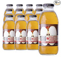 Texas Squeeze Apple Juice NON GMO Verified Bottled in Texas Apple Juice from Concentrate No Sugar Added No Preservatives 16 fl oz Pack of 12