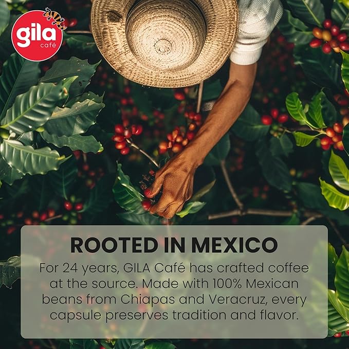 gila café Ground Coffee Medium Roast DECAF 340g 12oz (1-Pack) - 100% Mexican Arabica Bean Coffee Grounds - Made with Coffeeberry - Cinnamon and Orange Notes