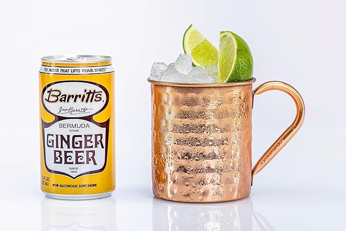 Barritt's Mixers - Ginger Beer Mix Non-Alcoholic Soda Cocktail Mixer 7.5 fl oz Cans 24 Pack Mini