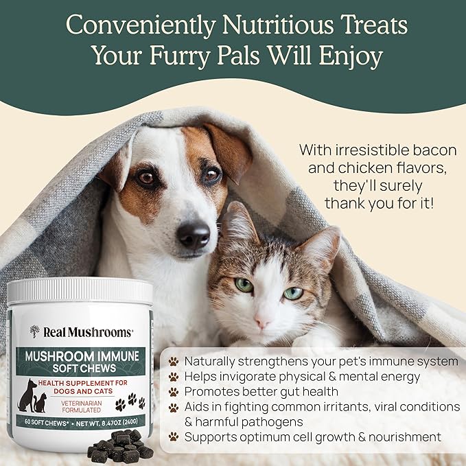 Real Mushroom Immune Pet Chews – For Daily Digestive &amp Immune Health – Mushrooms for Dogs &amp Cats Functional Treat – Mushroom Supplement for Dogs &amp Cats – 1 to 4 Chews For All Breeds &amp