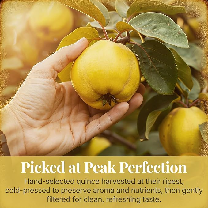 Pure Quince Juice 8.4oz Glass Bottle (Pack of 12) Cold Pressed Juice Not from Concentrate Non-GMO No Sugar Added Gluten Free Kosher Certified Preservative Free