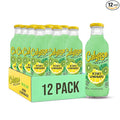 Calypso Lemonade Kiwi Lemonade Made with Real Fruit 16 Fl Oz Glass Bottles (Pack of 12)