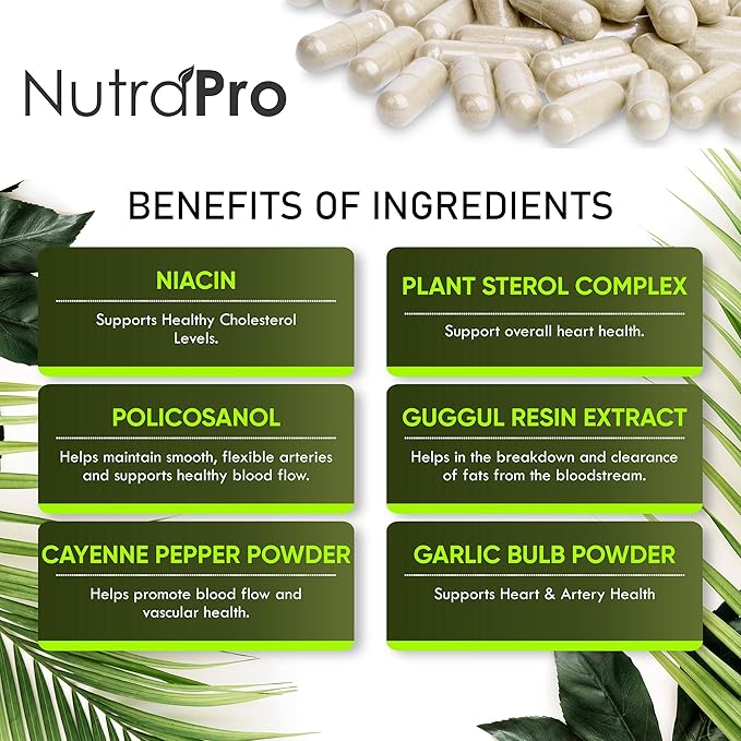 Heart Health Cholesterol Supplements - Cholesterol Health &amp Heart Support with Plant Sterols Niacin &amp Garlic Powder.Vitamins Pills for Healthy Cholesterol and Healthy Heart.Two Months Supply.