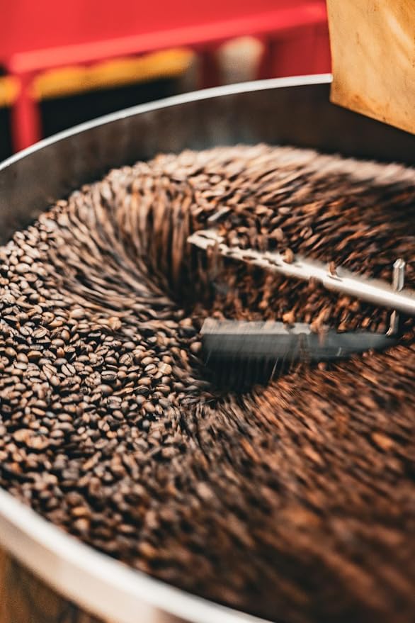 Z Beans - Medium Roast Individual Coffee Pouches - 50 Count - Each 2 OZ Packet Brews 8 Cups - Sustainably Sourced Ground Coffee from Ecuador - Small Batch - Well Balanced Flavor - Notes of Citrus and