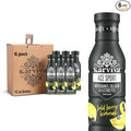 ACE Recovery Antioxidants Juice Energy Booster Drinks for Sports Real Fruit Natural Collagen Electrolytes BPA Free Antioxidant Drink 6 bottles 12 fl oz (Bold Berry Lemonade)