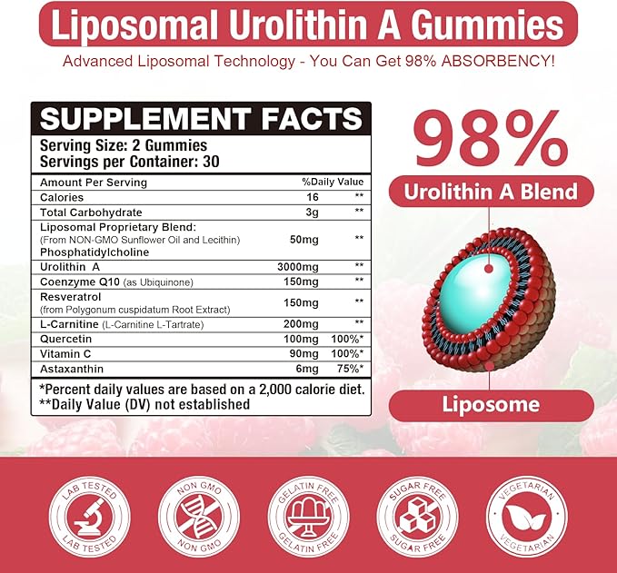 2 Pack Liposomal 3000mg Urolithin A Gummies Complex CoQ10 Resveratrol L-Carnitine Quercetin Astaxanthin | 7-in-1 Mitochondrial Support Supplement for Cellular Support Vitality &amp Wellness Agin