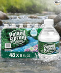 Spring Water 48 Pack - Mini Water Bottles - 8 Fl Oz.