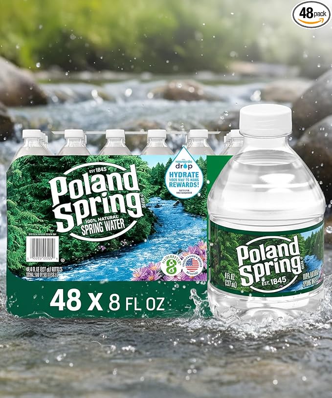 Spring Water 48 Pack - Mini Water Bottles - 8 Fl Oz.