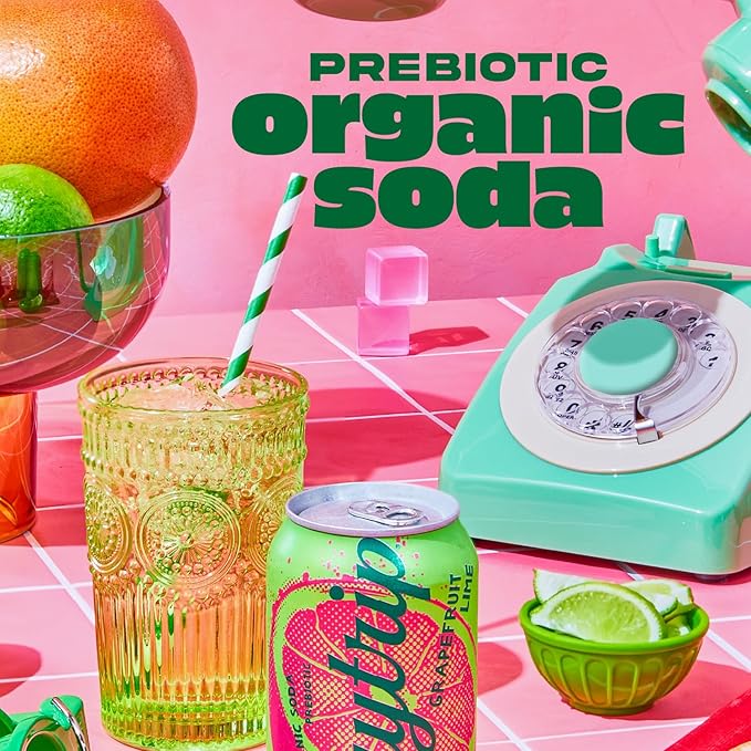 Daytrip Organic Sparkling Prebiotic Soda Low Sugar Soda and Low Calorie Healthy Soda Alternative Prebiotic Drink for Gut Health Drink and Digestion Refreshing Functional Beverage with Plant-Based F
