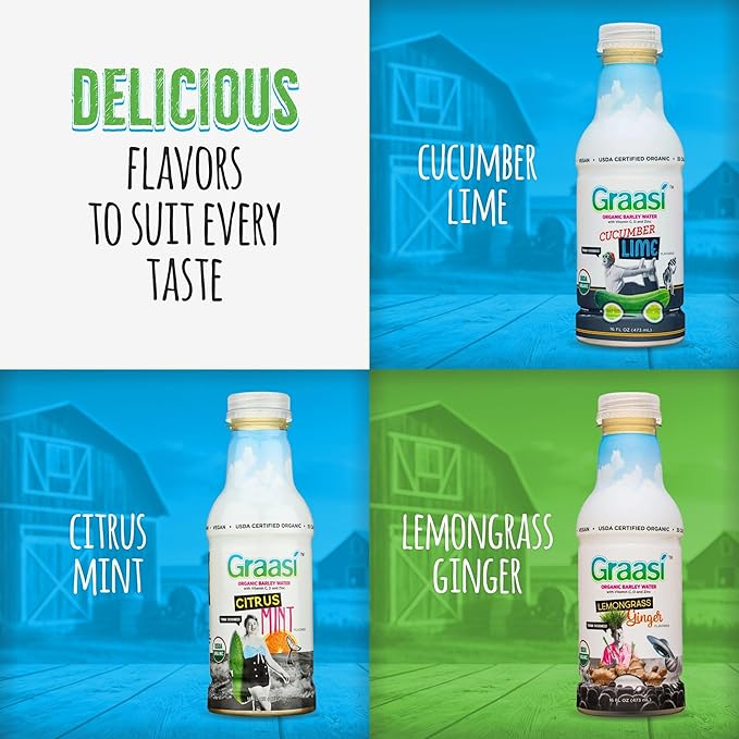 Graasi Organic Barley Grass Water | Hydration Drink with Vitamin C D Zinc | USDA Organic Non-GMO Vegan | Low-Calorie Wellness Beverage | Citrus Mint | 12 Pack (16 Fl Oz Bottles)
