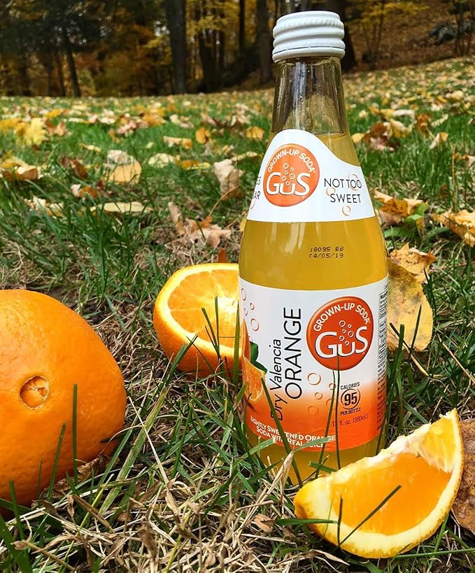 GuS Soda - Dry Valencia Orange - 12 oz (6 Glass Bottles)