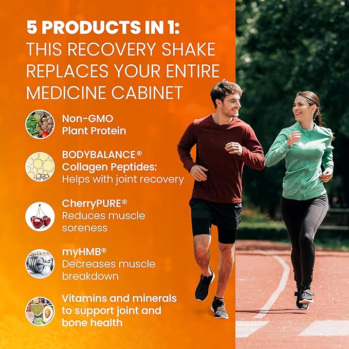 SaltWrap Protein Clinic – Total Body Recovery Shake with Collagen Peptides HMB Tart Cherry Extract Pea Protein Isolate and Prebiotic Fiber for Joints &amp Muscle Recovery - Creamy Chocolate Fudge