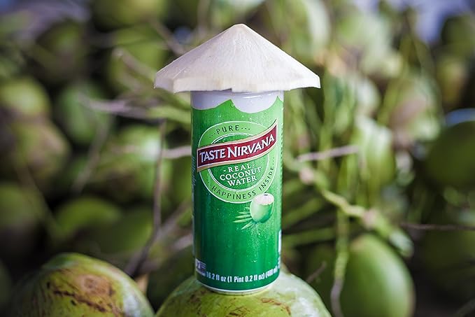 Taste Nirvana Real Coconut Water Coco Real Premium Coconut Water 16.2 Ounce Can (Pack of 5)