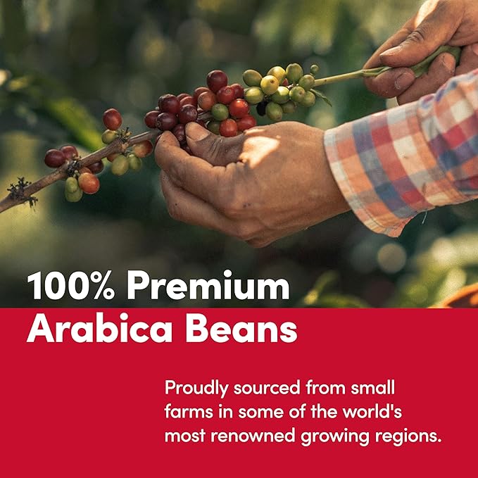 Tim Horton's 100% Arabica Dark Roast Ground Coffee 12 Ounce